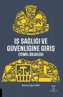 Is Sagligi ve Güvenligine Giris Temel Bilgiler - Erdem Güney, Mehmet