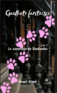 Le sauvetage de Roudoudou (eBook, ePUB) - Aimé, Henri