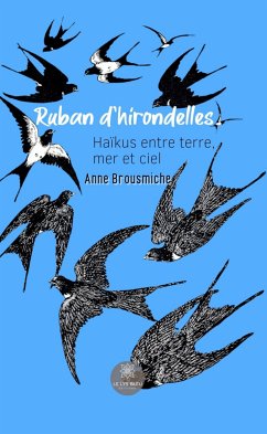 Ruban d’hirondelles (eBook, ePUB) - Brousmiche, Anne