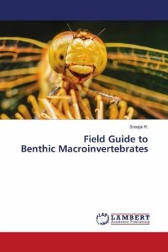 Field Guide to Benthic Macroinvertebrates