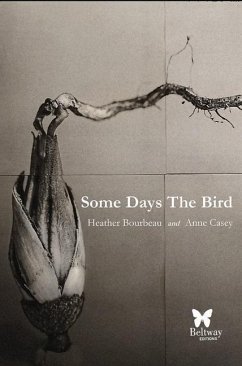 Some Days the Bird - Bourbeau, Heather; Casey, Anne