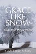 Grace Like Snow - Bild 1