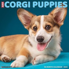 Just Corgi Puppies 2023 Wall Calendar - Willow Creek Press