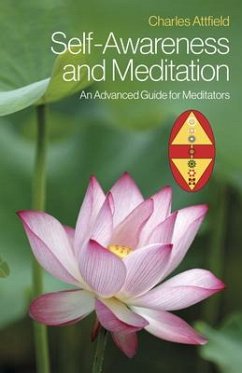 Self-Awareness and Meditation - Attfield, Charles