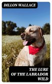 The Lure of the Labrador Wild (eBook, ePUB)