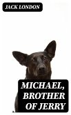 Michael, Brother of Jerry (eBook, ePUB)