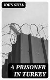 A Prisoner in Turkey (eBook, ePUB)