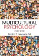 Multicultural Psychology (eBook, ePUB) - Bild 1