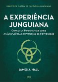 A experiência junguiana (eBook, ePUB)