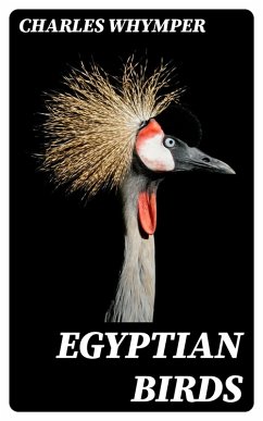 Egyptian Birds (eBook, ePUB) - Whymper, Charles