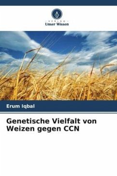 Genetische Vielfalt von Weizen gegen CCN - Iqbal, Erum