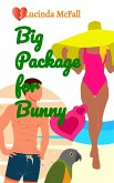 Big Package for Bunny (Love's a Beach, #2) (eBook, ePUB)