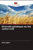 Diversité génétique du blé contre CCN