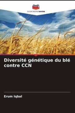 Diversité génétique du blé contre CCN - Iqbal, Erum