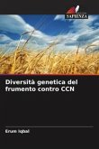 Diversità genetica del frumento contro CCN
