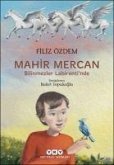 Mahir Mercan - Bilinmezler Labirentinde