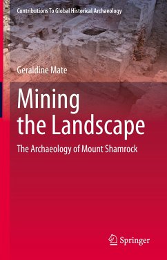 Mining the Landscape (eBook, PDF) - Mate, Geraldine