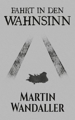 Fahrt in den Wahnsinn (eBook, ePUB) - Wandaller, Martin