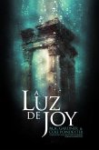 A Luz de Joy (eBook, ePUB)