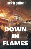 Down In Flames (eBook, ePUB)