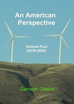 Cover An American Perspective (eBook, ePUB)