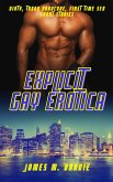 Explicit Gay Erotica (eBook, ePUB)