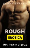 Rough Erotica (eBook, ePUB)