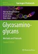 Glycosaminoglycans - Bild 1