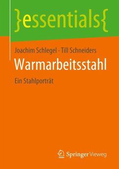 Warmarbeitsstahl - Schlegel, Joachim;Schneiders, Till