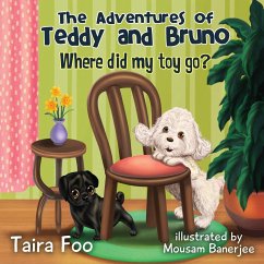 Where did my toy go ? - Foo, Taira