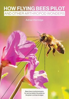 How Flying Bees Pilot, and other arthropod wonders - Horridge, Adrian
