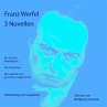 3 Novellen (MP3-Download) - Bild 1