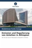 Emission und Regulierung von Anleihen in Äthiopien