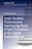 Angle-Resolved Photoemission Spectroscopy Study of Spin Fluctuations in the Cuprate Superconductors (eBook, PDF)