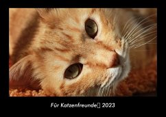 Für Katzenfreunde 2023 Fotokalender DIN A3 - Tobias Becker