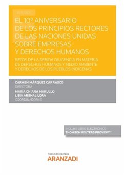 Cover 10º Aniversario de los principios rectores de las Naciones Unidas sobre empresas y derechos humanos