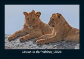 Löwen in der Wildnis 2023 Fotokalender DIN A5