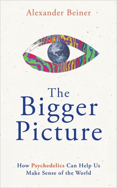 The Bigger Picture (eBook, ePUB) - Beiner, Alexander