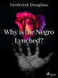 Why is the Negro Lynched? (eBook, ePUB) - Bild 1