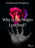Why is the Negro Lynched? (eBook, ePUB)
