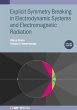 Explicit Symmetry Breaking in... - Bild 1