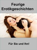 Feurige Erotikgeschichten (eBook, ePUB)