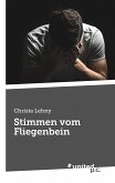 Stimmen vom Fliegenbein (eBook, ePUB)