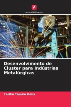 Desenvolvimento de Cluster para Indústrias Metalúrgicas - Tamiru Belis, Tariku