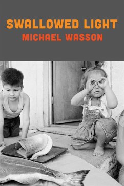 Swallowed Light (eBook, ePUB) - Wasson, Michael