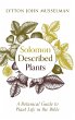 Solomon Described Plants - Bild 1