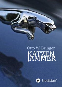 Cover Katzenjammer (eBook, ePUB)