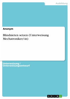 Blindnieten setzen (Unterweisung Mechatroniker/-in) (eBook, PDF)