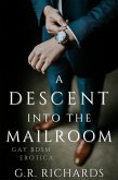 A Descent into the Mailroom (eBook, ePUB) A Descent into the Mailroom (eBook, ePUB)