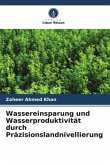 Wassereinsparung und Wasserproduktivität durch Präzisionslandnivellierung